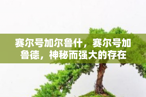 赛尔号加尔鲁什，赛尔号加鲁德，神秘而强大的存在