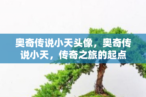 奥奇传说小天头像，奥奇传说小天，传奇之旅的起点