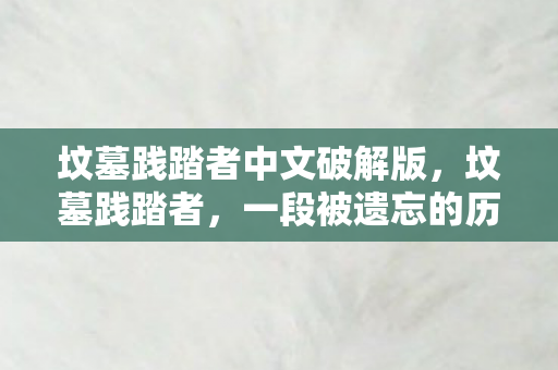 坟墓践踏者中文破解版，坟墓践踏者，一段被遗忘的历史
