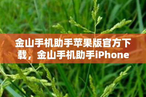金山手机助手苹果版官方下载，金山手机助手iPhone版，打造高效便捷的移动设备管理体验