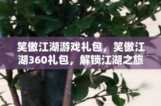 笑傲江湖游戏礼包，笑傲江湖360礼包，解锁江湖之旅的必备神器
