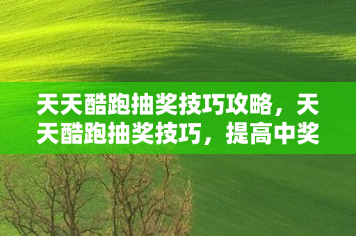 天天酷跑抽奖技巧攻略，天天酷跑抽奖技巧，提高中奖率的实用策略