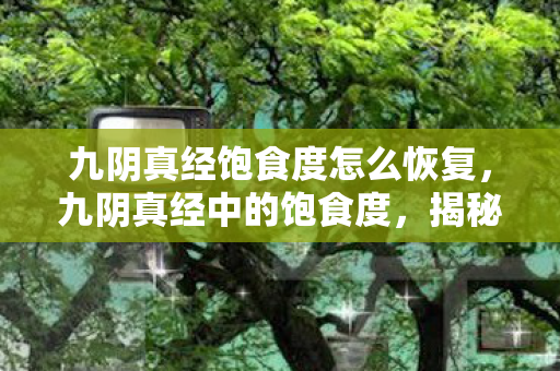 九阴真经饱食度怎么恢复,九阴真经中的饱食度,揭秘武侠世界的饮食文化 九阴真经饱食度怎么恢复,九阴真经中的饱食度,揭秘武侠世界的饮食文化