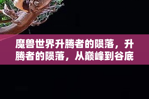 魔兽世界升腾者的陨落，升腾者的陨落，从巅峰到谷底的自媒体人生