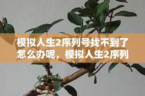 模拟人生2序列号找不到了怎么办呢，模拟人生2序列号，解锁虚拟世界的钥匙