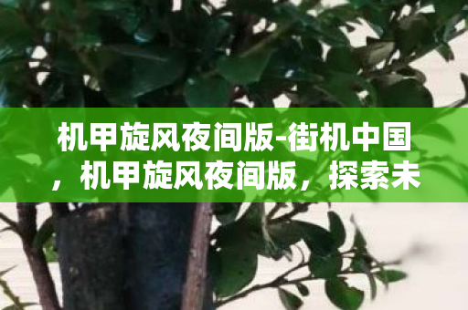 机甲旋风夜间版-街机中国,机甲旋风夜间版,探索未知,挑战极限 机甲旋风夜间版-街机中国,机甲旋风夜间版,探索未知,挑战极限