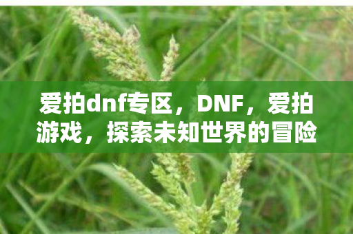 爱拍dnf专区,DNF,爱拍游戏,探索未知世界的冒险之旅 爱拍dnf专区,DNF,爱拍游戏,探索未知世界的冒险之旅