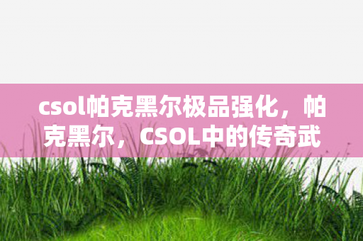 csol帕克黑尔极品强化，帕克黑尔，CSOL中的传奇武器