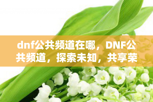 dnf公共频道在哪,DNF公共频道,探索未知,共享荣耀 dnf公共频道在哪,DNF公共频道,探索未知,共享荣耀