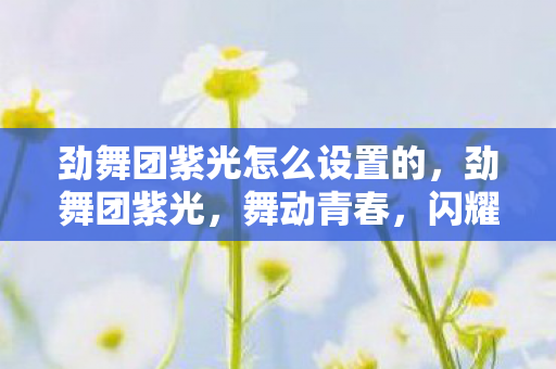 劲舞团紫光怎么设置的,劲舞团紫光,舞动青春,闪耀回忆 劲舞团紫光怎么设置的,劲舞团紫光,舞动青春,闪耀回忆