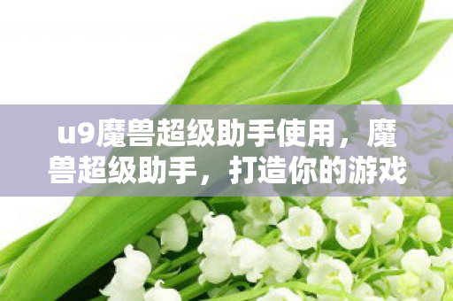 u9魔兽超级助手使用，魔兽超级助手，打造你的游戏新体验