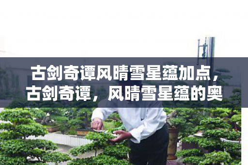 古剑奇谭风晴雪星蕴加点，古剑奇谭，风晴雪星蕴的奥秘