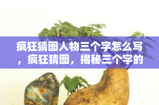 疯狂猜图人物三个字怎么写，疯狂猜图，揭秘三个字的神秘人物