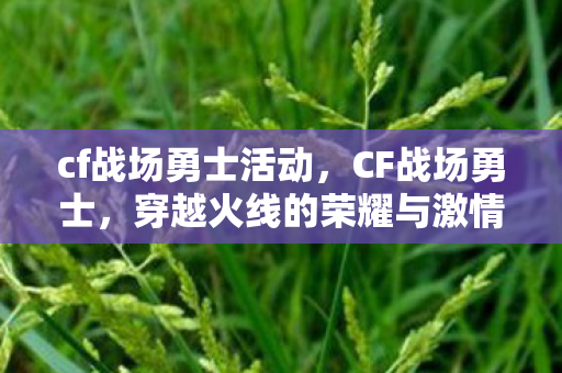 cf战场勇士活动,CF战场勇士,穿越火线的荣耀与激情 cf战场勇士活动,CF战场勇士,穿越火线的荣耀与激情