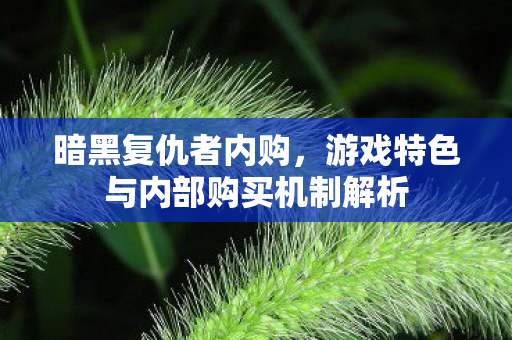 暗黑复仇者内购,游戏特色与内部购买机制解析 暗黑复仇者内购,游戏特色与内部购买机制解析