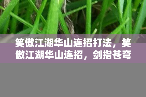 笑傲江湖华山连招打法，笑傲江湖华山连招，剑指苍穹，笑傲群雄