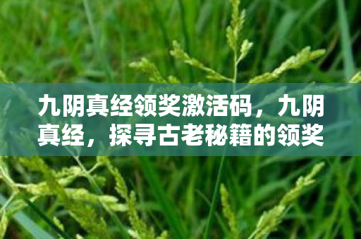 九阴真经领奖激活码，九阴真经，探寻古老秘籍的领奖大使