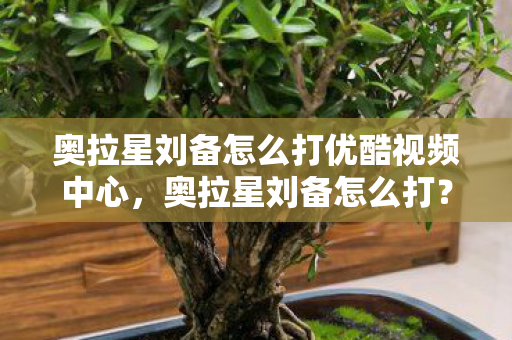 奥拉星刘备怎么打优酷视频中心，奥拉星刘备怎么打？攻略详解