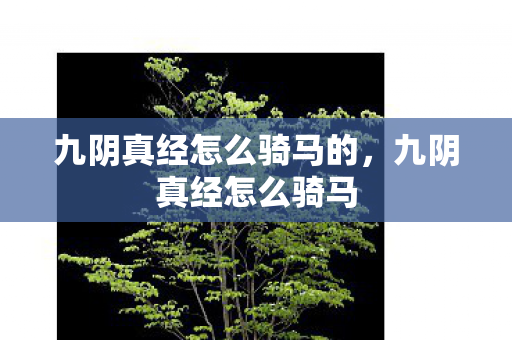 九阴真经怎么骑马的,九阴真经怎么骑马 九阴真经怎么骑马的,九阴真经怎么骑马