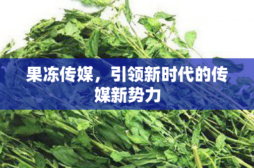 果冻传媒,引领新时代的传媒新势力 果冻传媒,引领新时代的传媒新势力