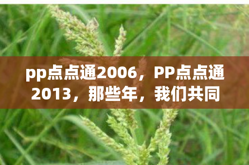 pp点点通2006,PP点点通2013,那些年,我们共同走过的数字生活 pp点点通2006,PP点点通2013,那些年,我们共同走过的数字生活