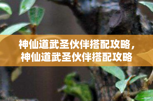 神仙道武圣伙伴搭配攻略，神仙道武圣伙伴搭配攻略