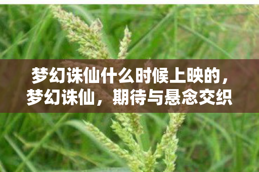 梦幻诛仙什么时候上映的，梦幻诛仙，期待与悬念交织的奇幻之旅