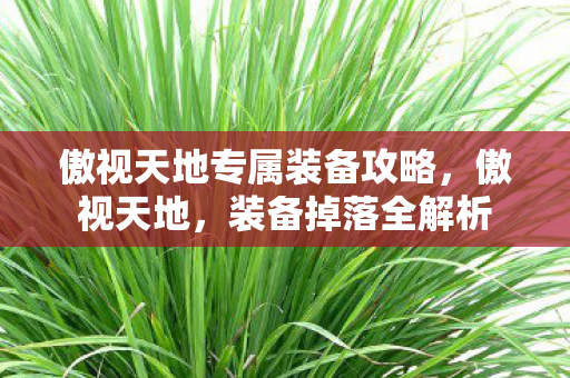 傲视天地专属装备攻略,傲视天地,装备掉落全解析 傲视天地专属装备攻略,傲视天地,装备掉落全解析