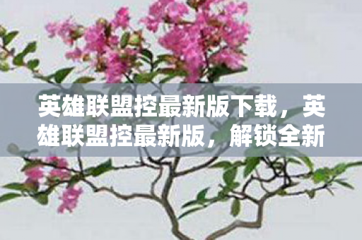 英雄联盟控最新版下载，英雄联盟控最新版，解锁全新游戏体验