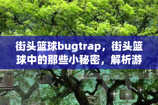 街头篮球bugtrap，街头篮球中的那些小秘密，解析游戏中的BUG与技巧
