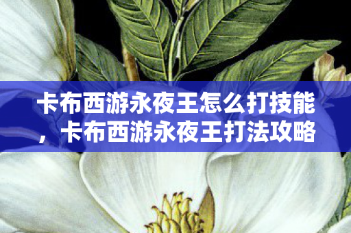 卡布西游永夜王怎么打技能，卡布西游永夜王打法攻略