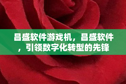 昌盛软件游戏机,昌盛软件,引领数字化转型的先锋 昌盛软件游戏机,昌盛软件,引领数字化转型的先锋