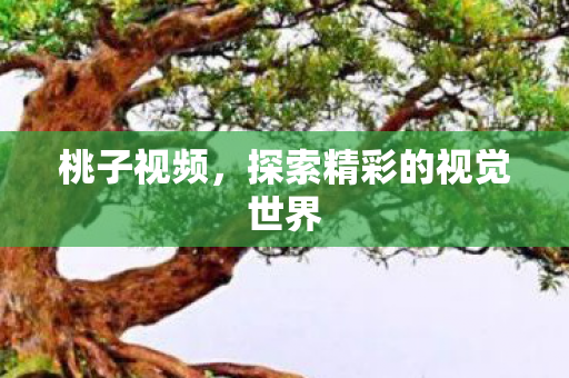 桃子视频,探索精彩的视觉世界 桃子视频,探索精彩的视觉世界