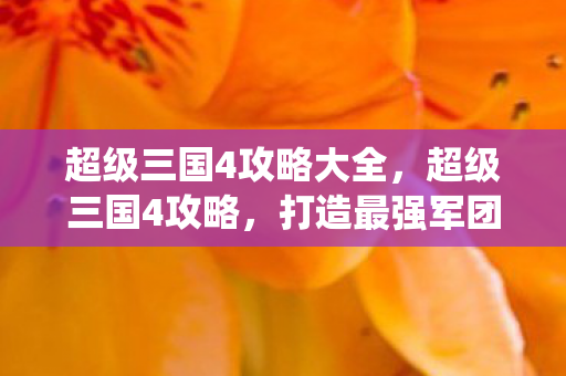 超级三国4攻略大全,超级三国4攻略,打造最强军团,一统天下! 超级三国4攻略大全,超级三国4攻略,打造最强军团,一统天下!