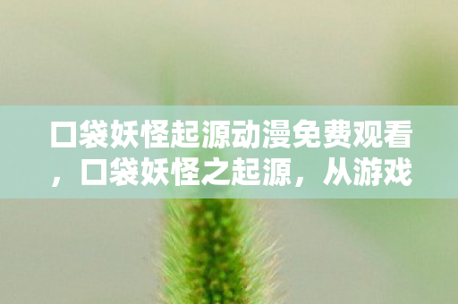口袋妖怪起源动漫免费观看，口袋妖怪之起源，从游戏到动漫的奇妙旅程