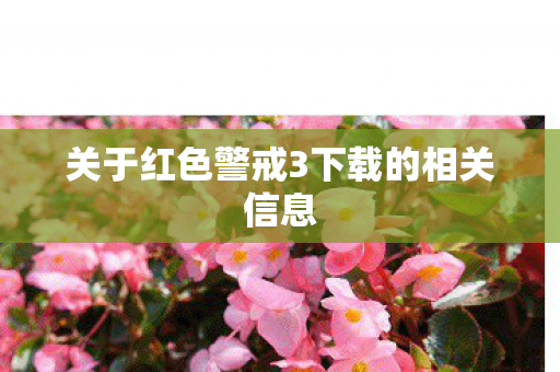 关于红色警戒3下载的相关信息 关于红色警戒3下载的相关信息