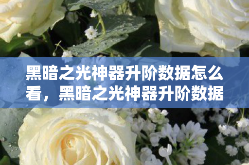 黑暗之光神器升阶数据怎么看，黑暗之光神器升阶数据全解析