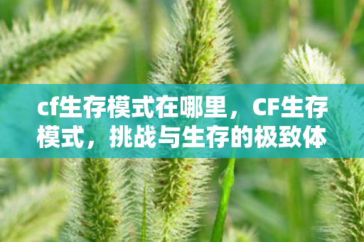 cf生存模式在哪里，CF生存模式，挑战与生存的极致体验