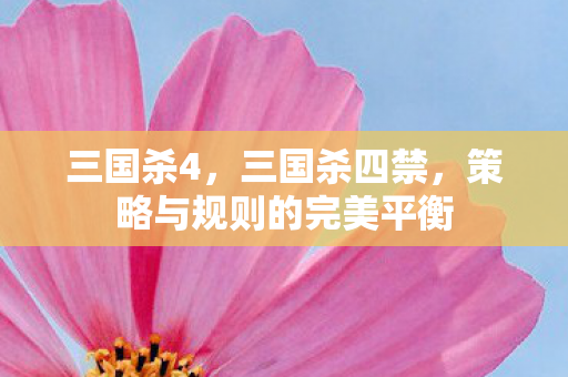 三国杀4，三国杀四禁，策略与规则的完美平衡