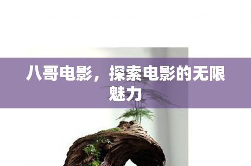八哥电影,探索电影的无限魅力 八哥电影,探索电影的无限魅力