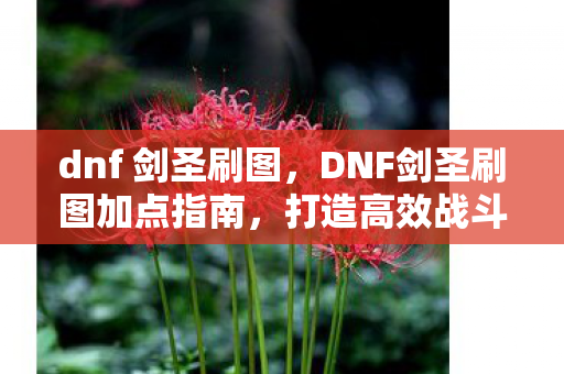 dnf 剑圣刷图，DNF剑圣刷图加点指南，打造高效战斗体验