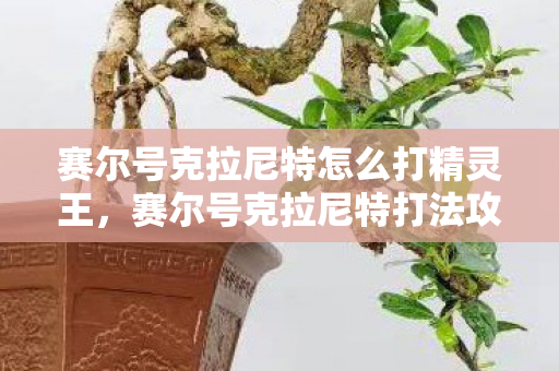 赛尔号克拉尼特怎么打精灵王,赛尔号克拉尼特打法攻略 赛尔号克拉尼特怎么打精灵王,赛尔号克拉尼特打法攻略