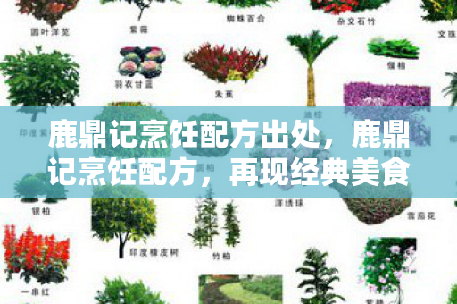 鹿鼎记烹饪配方出处，鹿鼎记烹饪配方，再现经典美食的奥秘