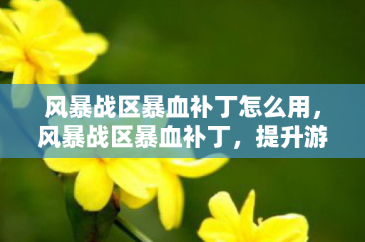 风暴战区暴血补丁怎么用，风暴战区暴血补丁，提升游戏战斗体验的关键