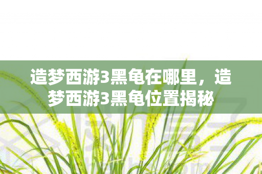 造梦西游3黑龟在哪里,造梦西游3黑龟位置揭秘 造梦西游3黑龟在哪里,造梦西游3黑龟位置揭秘
