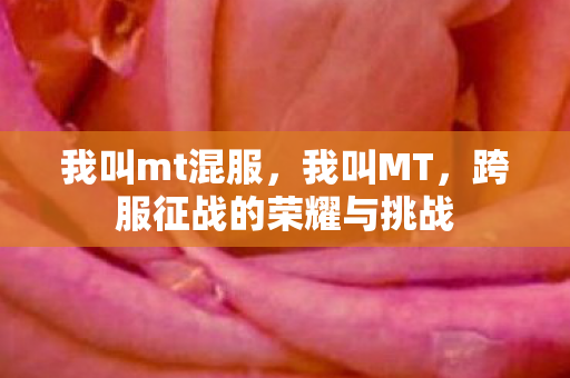 我叫mt混服,我叫MT,跨服征战的荣耀与挑战 我叫mt混服,我叫MT,跨服征战的荣耀与挑战