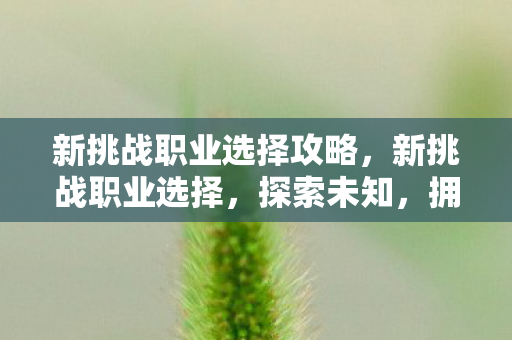 新挑战职业选择攻略,新挑战职业选择,探索未知,拥抱变革 新挑战职业选择攻略,新挑战职业选择,探索未知,拥抱变革