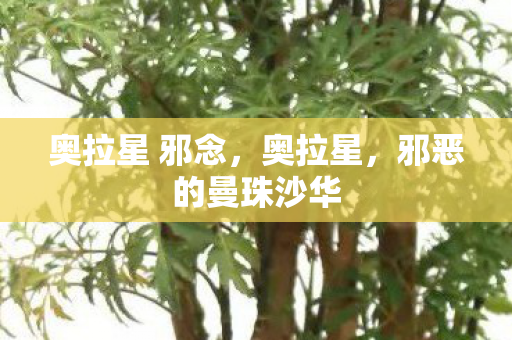 奥拉星 邪念,奥拉星,邪恶的曼珠沙华 奥拉星 邪念,奥拉星,邪恶的曼珠沙华