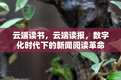 云端读书,云端读报,数字化时代下的新闻阅读革命 云端读书,云端读报,数字化时代下的新闻阅读革命