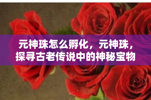 元神珠怎么孵化,元神珠,探寻古老传说中的神秘宝物 元神珠怎么孵化,元神珠,探寻古老传说中的神秘宝物